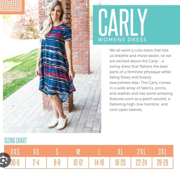 LuLaRoe Carly Swing Dress - Picture 4 of 13